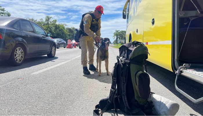  PMPR registra 9,6 mil infrações de trânsito durante o recesso de Ano Novo nas rodovias
